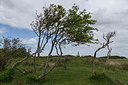 BUITEN BEELD Foto: 231511
