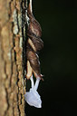 BUITEN BEELD Foto: 231563