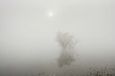 BUITEN BEELD Foto: 231591