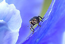 BUITEN BEELD Foto: 231625