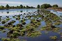 BUITEN BEELD Foto: 231665
