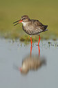 BUITEN BEELD Foto: 231693
