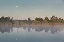 BUITEN BEELD Foto: 231718
