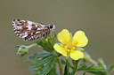 BUITEN BEELD Foto: 231729