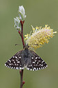 BUITEN BEELD Foto: 231730