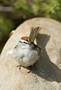 BUITEN BEELD Foto: 231773