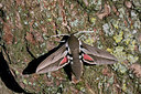 BUITEN BEELD Foto: 231831