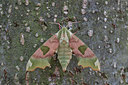BUITEN BEELD Foto: 231832