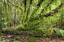 BUITEN BEELD Foto: 231851