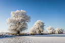 BUITEN BEELD Foto: 231917