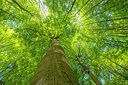 BUITEN BEELD Foto: 231966