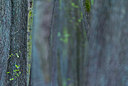 BUITEN BEELD Foto: 232032