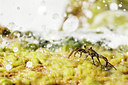 BUITEN BEELD Foto: 232064