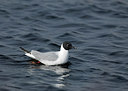 BUITEN BEELD Foto: 232091