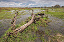 BUITEN BEELD Foto: 232116