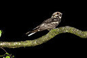 BUITEN BEELD Foto: 232368