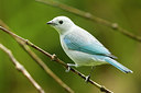 BUITEN BEELD Foto: 232385