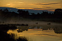 BUITEN BEELD Foto: 232397