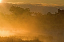 BUITEN BEELD Foto: 232398