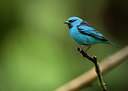 BUITEN BEELD Foto: 232402