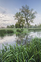BUITEN BEELD Foto: 232403