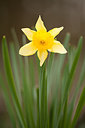BUITEN BEELD Foto: 232451