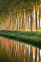 BUITEN BEELD Foto: 232466
