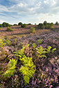 BUITEN BEELD Foto: 232470