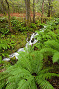 BUITEN BEELD Foto: 232476