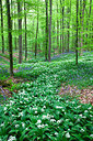 BUITEN BEELD Foto: 232533