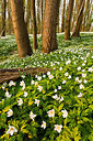 BUITEN BEELD Foto: 232545
