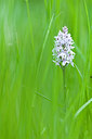 BUITEN BEELD Foto: 232620