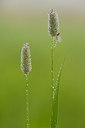 BUITEN BEELD Foto: 232627