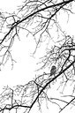 BUITEN BEELD Foto: 232691