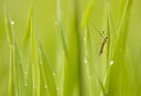 BUITEN BEELD Foto: 232717