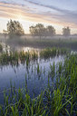BUITEN BEELD Foto: 232721