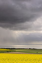 BUITEN BEELD Foto: 232724