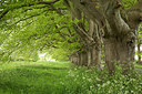 BUITEN BEELD Foto: 232777