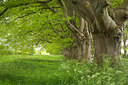 BUITEN BEELD Foto: 232778