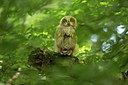 BUITEN BEELD Foto: 232809