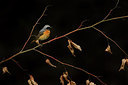 BUITEN BEELD Foto: 232895