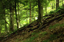 BUITEN BEELD Foto: 232914