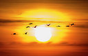 BUITEN BEELD Foto: 233061