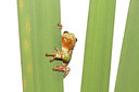 BUITEN BEELD Foto: 233125