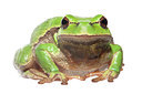 BUITEN BEELD Foto: 233169