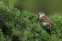 BUITEN BEELD Foto: 233271