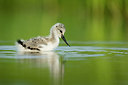 BUITEN BEELD Foto: 233280