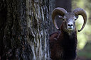 BUITEN BEELD Foto: 233437