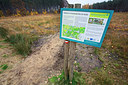 BUITEN BEELD Foto: 233508
