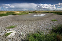 BUITEN BEELD Foto: 233514